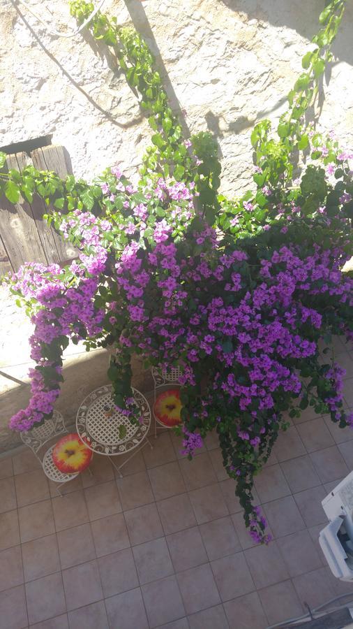 סופטאר Old Town Center Apartments מראה חיצוני תמונה
